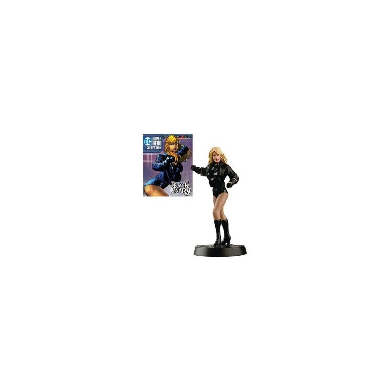 Dc Black Canary Dc Black Canary