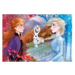 Maxi Puzzle Super Color Frozen II 60 pcs
